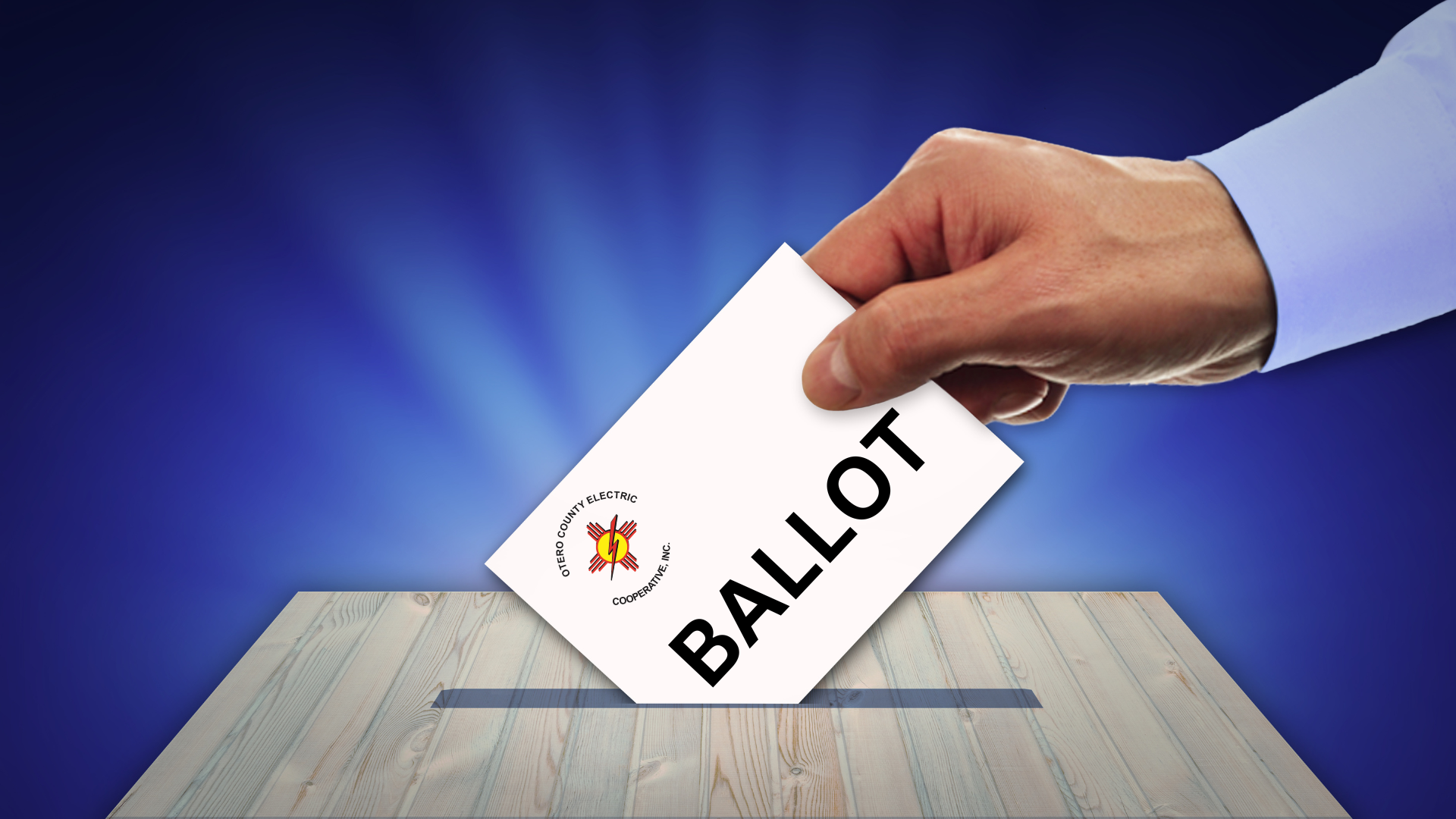 TRUSTEE ELECTIONS